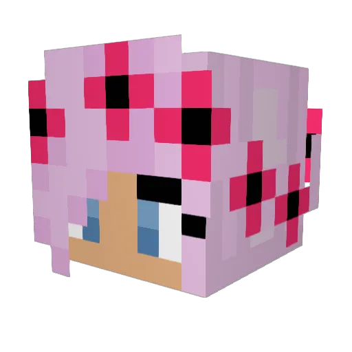 Zeshkane Minecraft avatar head, 3D render