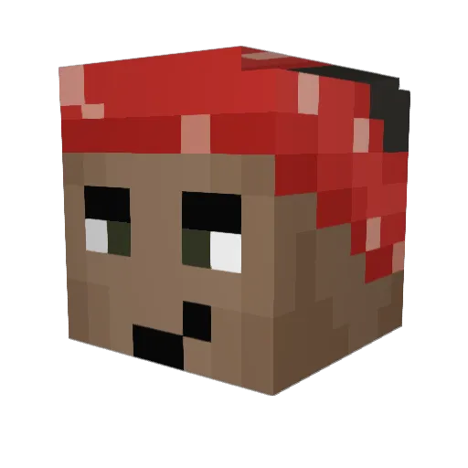 Zespeth Minecraft avatar head, 3D render