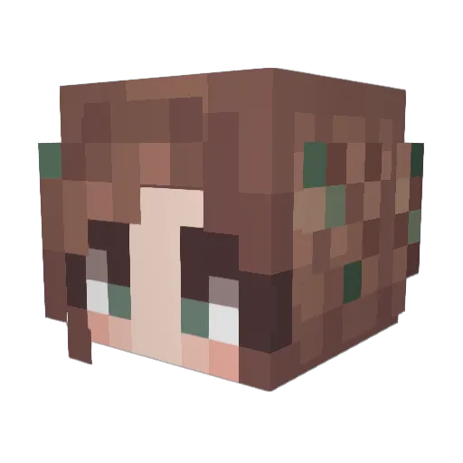 ZestDragon Minecraft avatar head, 3D render