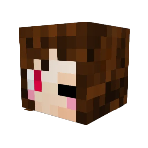 Zest_E Minecraft avatar head, 3D render
