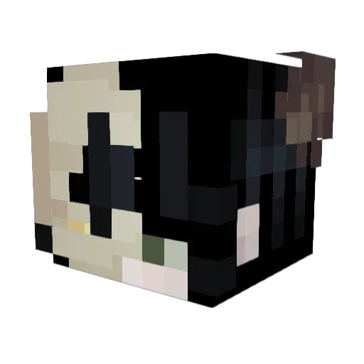 Zestrix87 Minecraft avatar head, 3D render