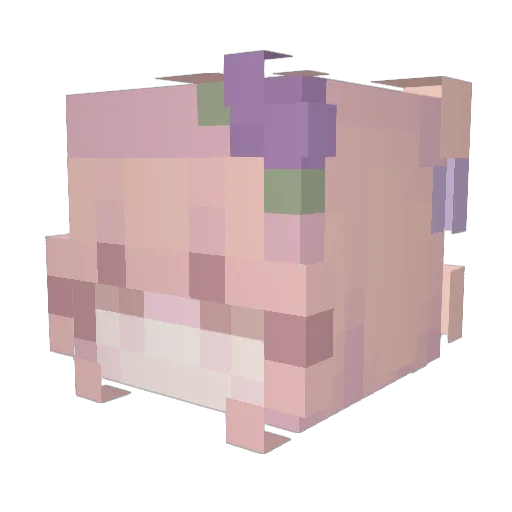 ZestyLemoney Minecraft avatar head, 3D render