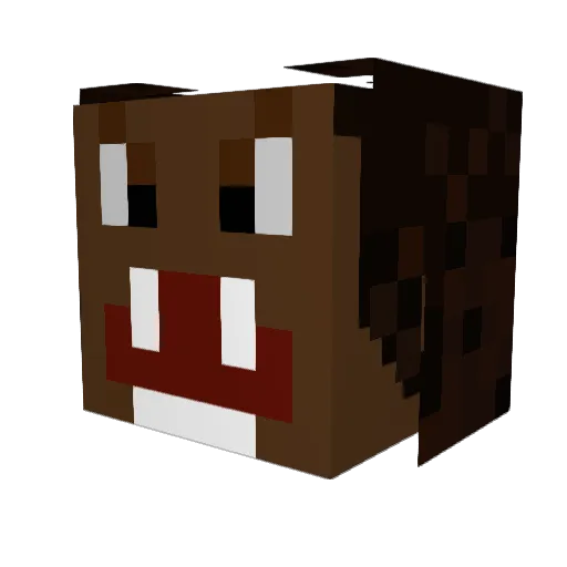 ZestyNight Minecraft avatar head, 3D render
