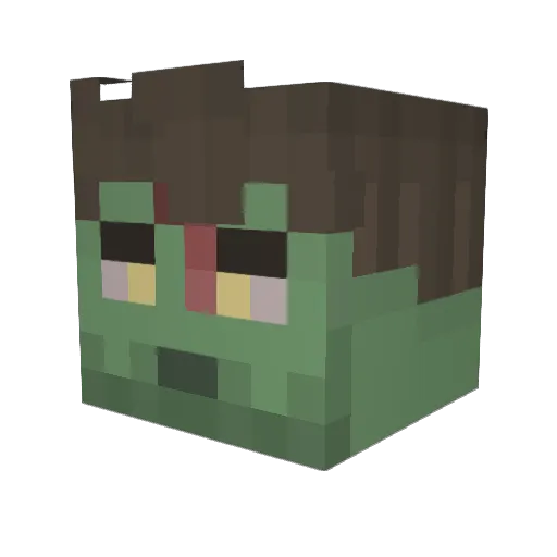 ZestyZaltan Minecraft avatar head, 3D render