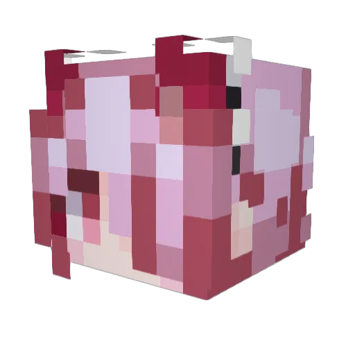 ZestybootyFlakes Minecraft avatar head, 3D render