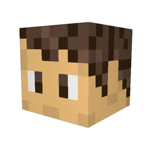 Zet799 Minecraft avatar head, 3D render