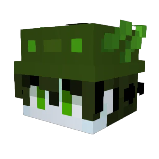 ZetNot Minecraft avatar head, 3D render
