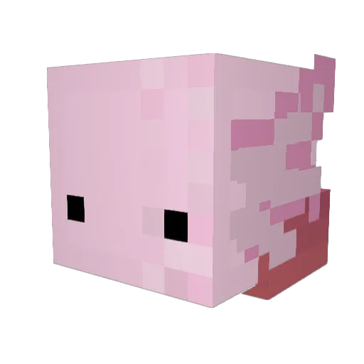 Zeta7544 Minecraft avatar head, 3D render