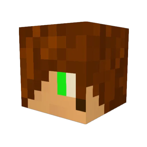 ZetaFoxx Minecraft avatar head, 3D render