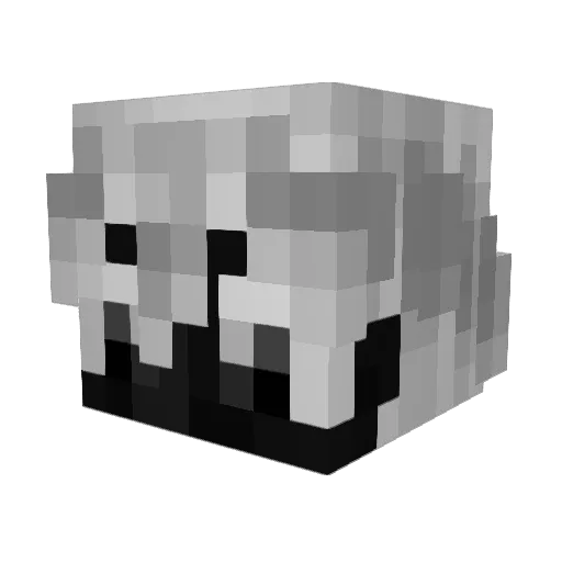 ZetaSW Minecraft avatar head, 3D render