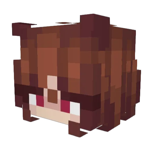 ZetaSharky Minecraft avatar head, 3D render