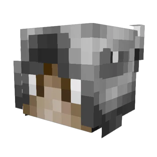 Zetax0754 Minecraft avatar head, 3D render