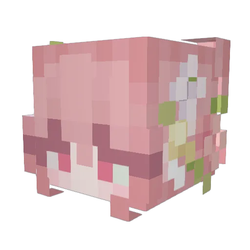 Zetcia Minecraft avatar head, 3D render