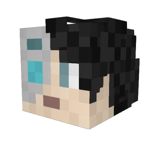 Zether123456 Minecraft avatar head, 3D render