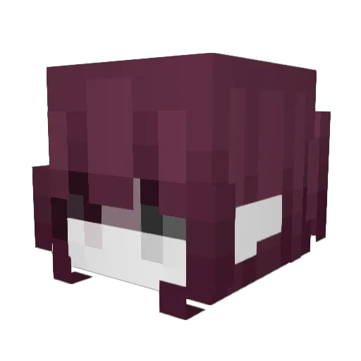 ZetherFa2les_ Minecraft avatar head, 3D render