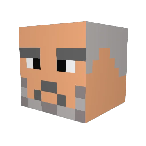 Zethrin79 Minecraft avatar head, 3D render
