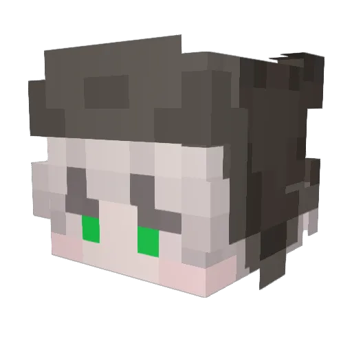 Zetis_YT Minecraft avatar head, 3D render