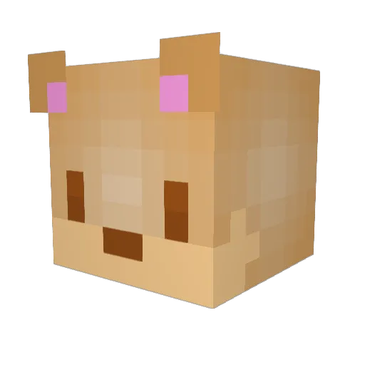 Zetlys Minecraft avatar head, 3D render