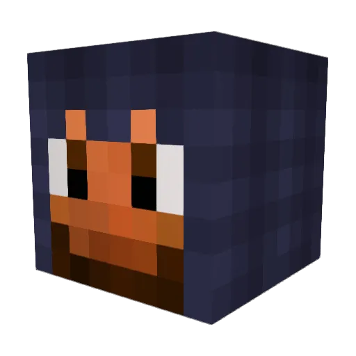 ZetraX13 Minecraft avatar head, 3D render