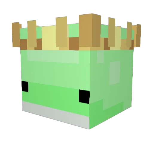 Zetsubou999 Minecraft avatar head, 3D render