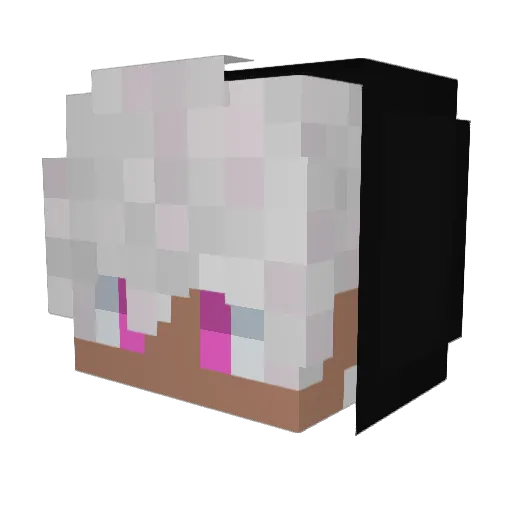 ZettaGM08 Minecraft avatar head, 3D render
