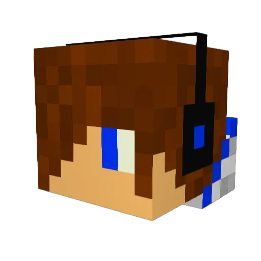 ZeusVogel Minecraft avatar head, 3D render