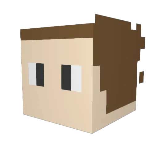 Zeusenrir Minecraft avatar head, 3D render