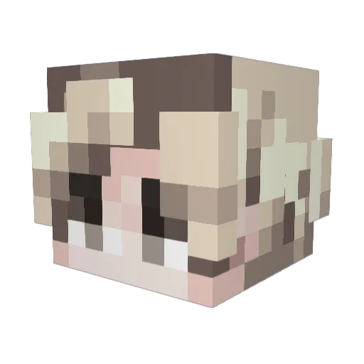 Zeuyn Minecraft avatar head, 3D render