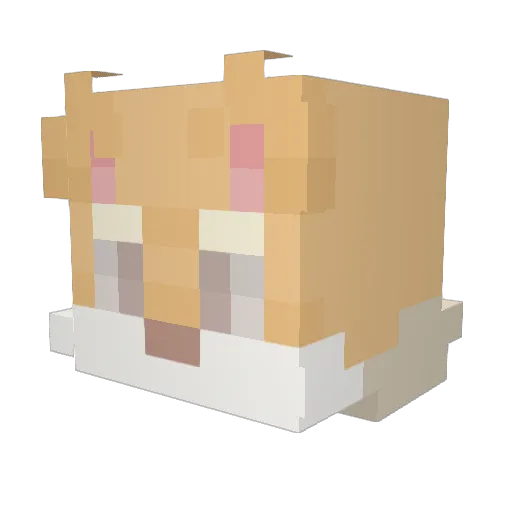 Zev8015 Minecraft avatar head, 3D render