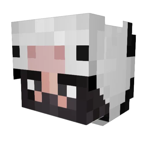 Zev_uwu Minecraft avatar head, 3D render