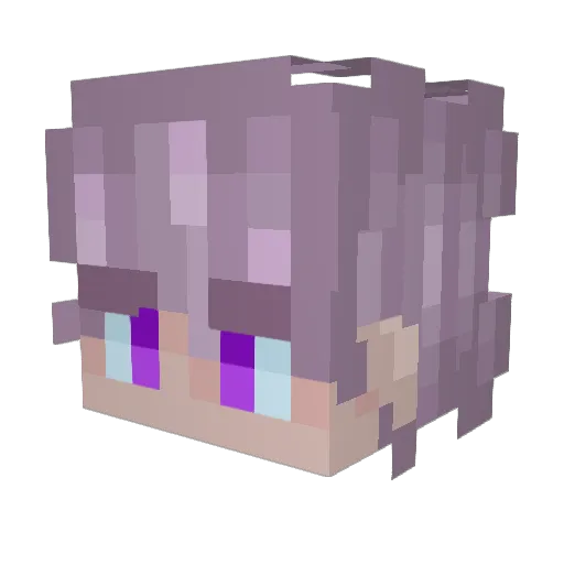 Zevan2812 Minecraft avatar head, 3D render