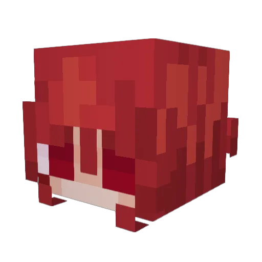 ZevelkaXD Minecraft avatar head, 3D render