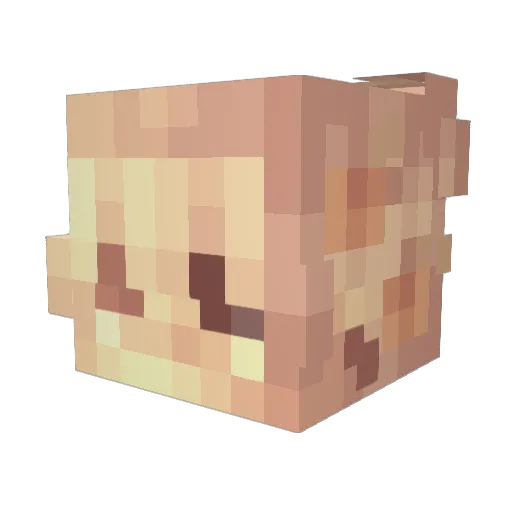 Zevvxv Minecraft avatar head, 3D render