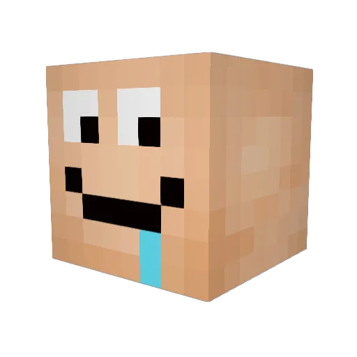 Zewd1 Minecraft avatar head, 3D render