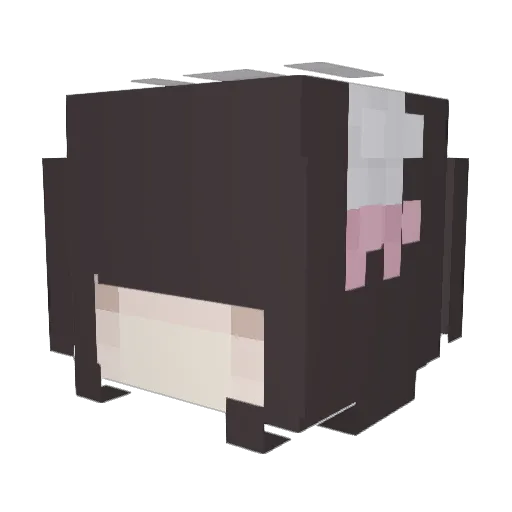 Zewon24 Minecraft avatar head, 3D render