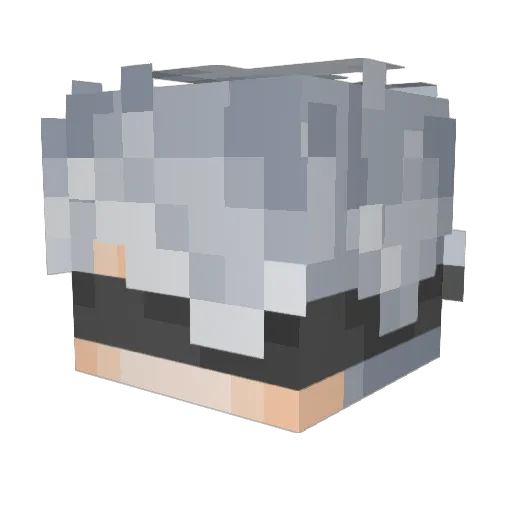 Zeworld12 Minecraft avatar head, 3D render
