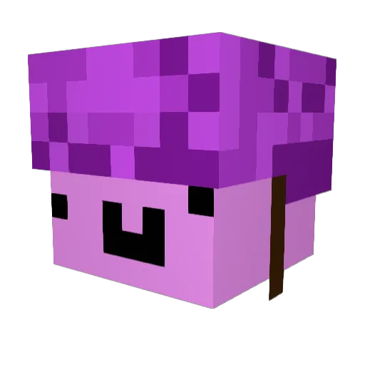 Zexi49 Minecraft avatar head, 3D render