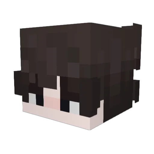 Zexussz Minecraft avatar head, 3D render