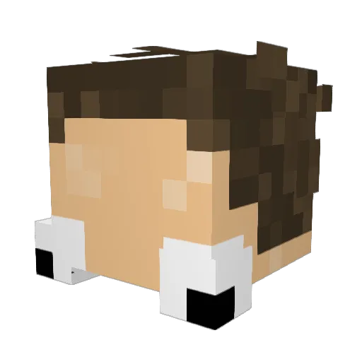 Zexywtw Minecraft avatar head, 3D render