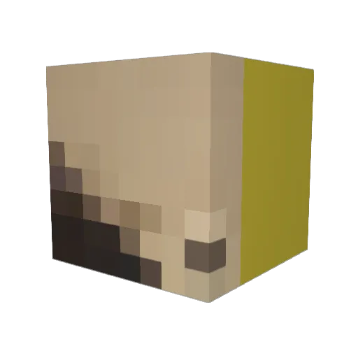 Zeydo1 Minecraft avatar head, 3D render