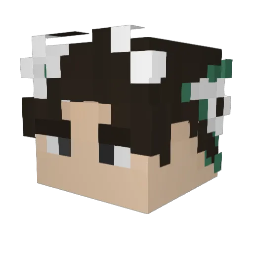Zeylon Minecraft avatar head, 3D render