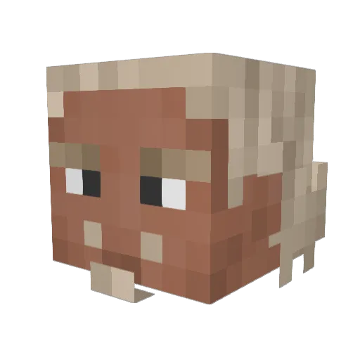 Zeyoou Minecraft avatar head, 3D render