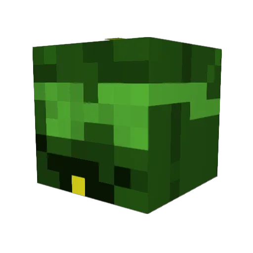 Zeyron187 Minecraft avatar head, 3D render