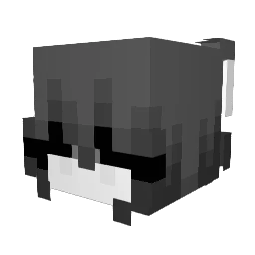 Zeyrox7132 Minecraft avatar head, 3D render
