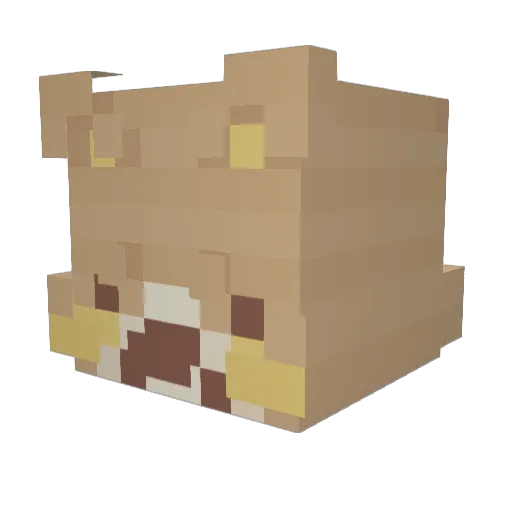Zezak2109 Minecraft avatar head, 3D render