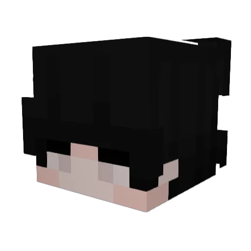 ZezinL_ Minecraft avatar head, 3D render
