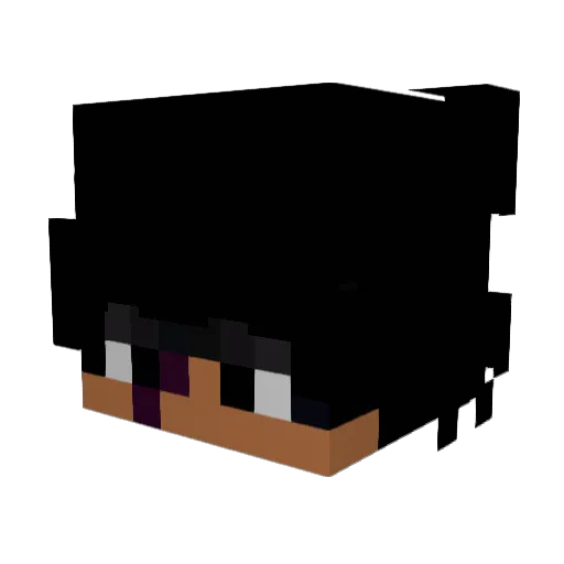 Zezit0 Minecraft avatar head, 3D render