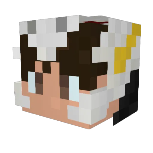 ZforZorglub Minecraft avatar head, 3D render
