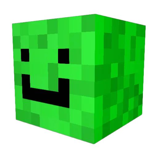Zgamerdude Minecraft avatar head, 3D render