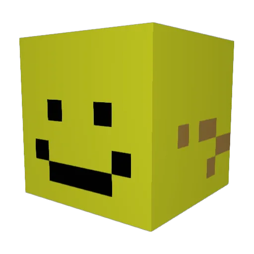 Zgduc Minecraft avatar head, 3D render